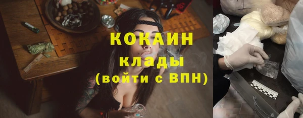 шишки Алзамай