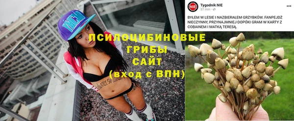 метамфетамин Алексин